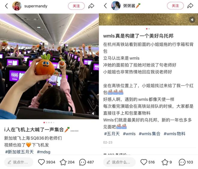 中国版的Jellycat开元棋牌阿信带火