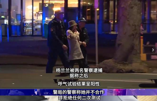 丢名牌鞋折返冷眼看受伤司机配文惹争议开元棋牌app杨兰兰车祸细节：弃车跑(图12)