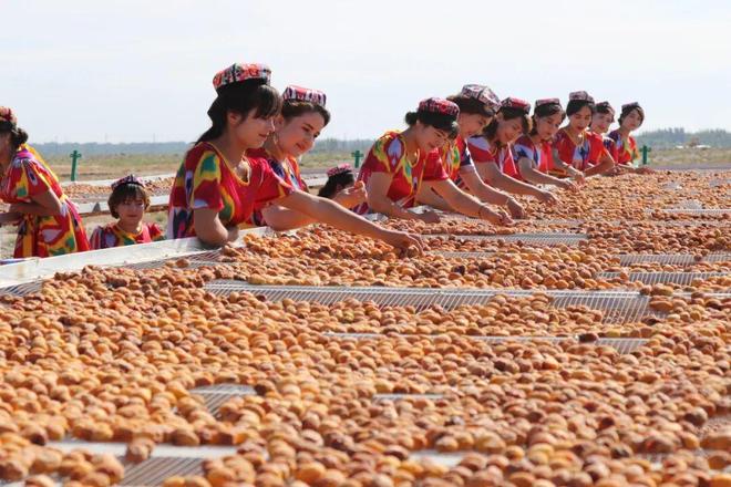 国 美在新疆 干在新疆开元棋牌app图说中(图8) 国 美在新疆 干在新疆开元棋牌app图说中(图8)